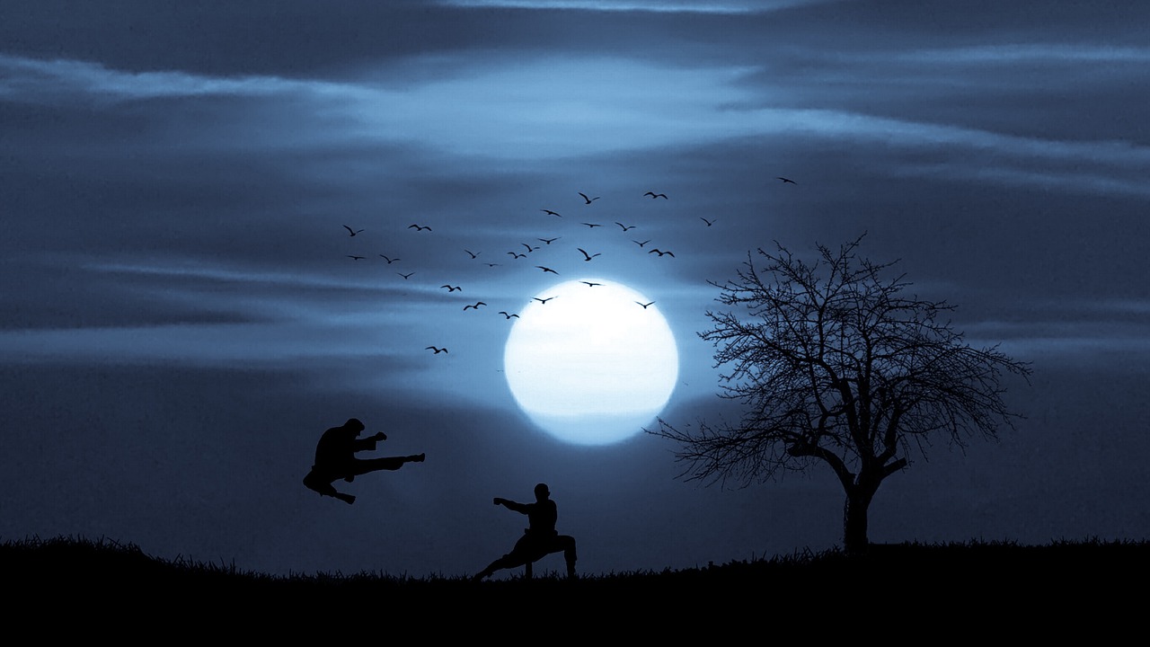 action, kung fu, moonlight-3598629.jpg